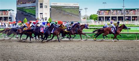 kentucky derby betting guide|kentucky derby for dummies.